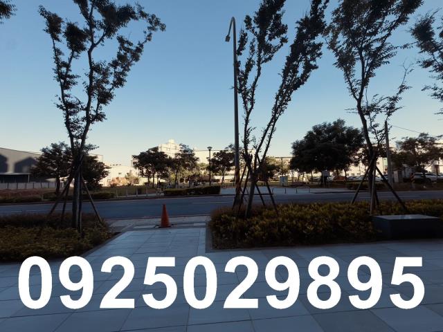 八德大樓-11