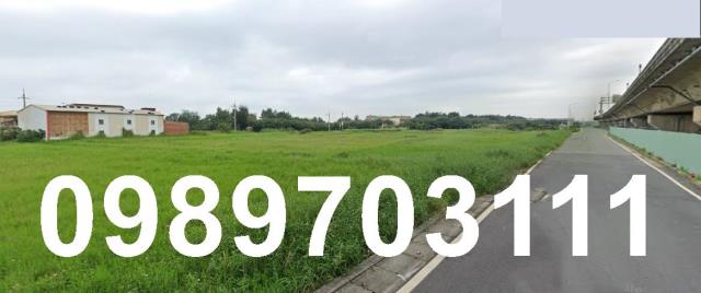 大園農地-2